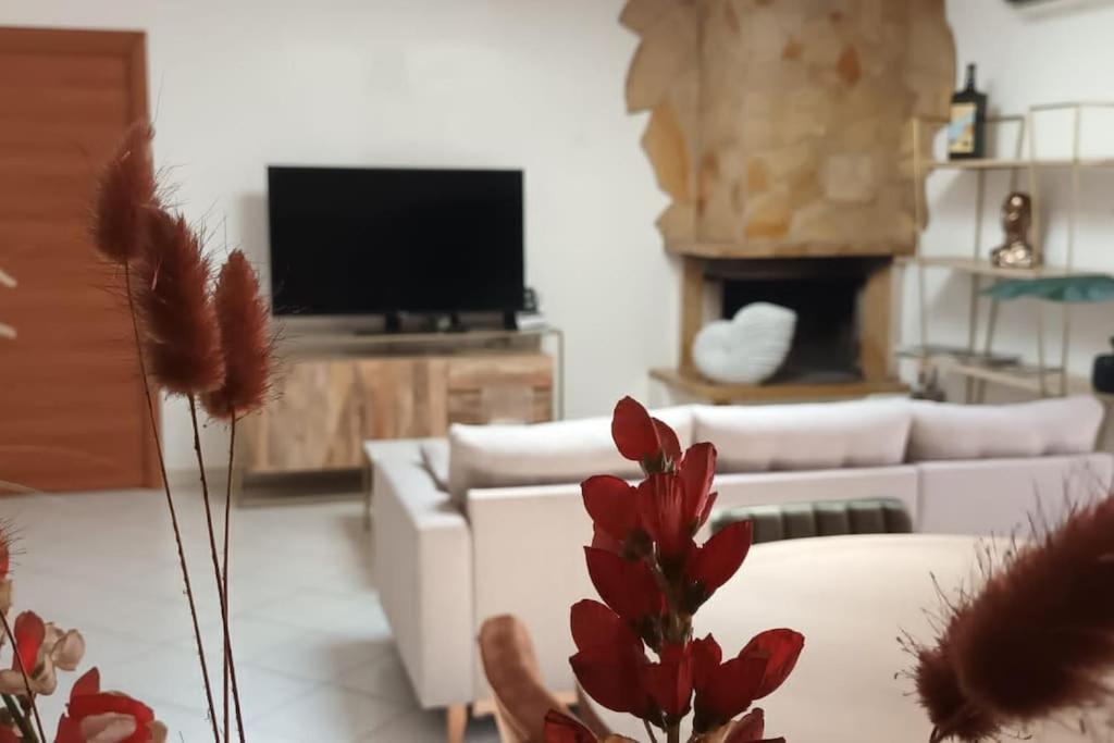 Casa Vacanza Fiera Di Roma Ponte Galeria Exteriér fotografie